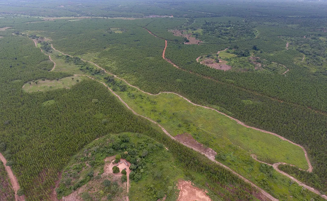 Project Annual Report 2022