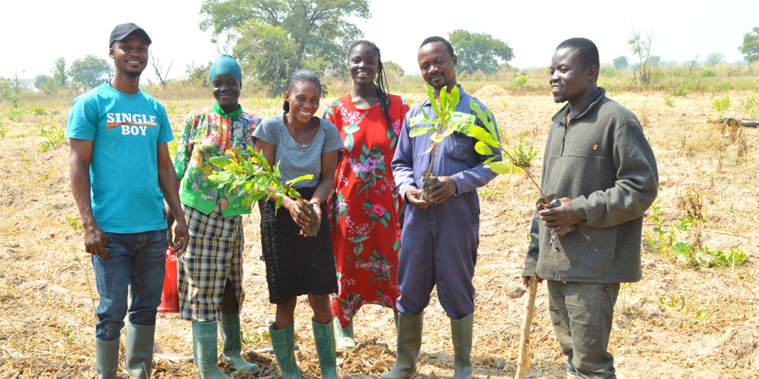 Lessons learnt from the Atebubu-Wiase forest landscape restoration project