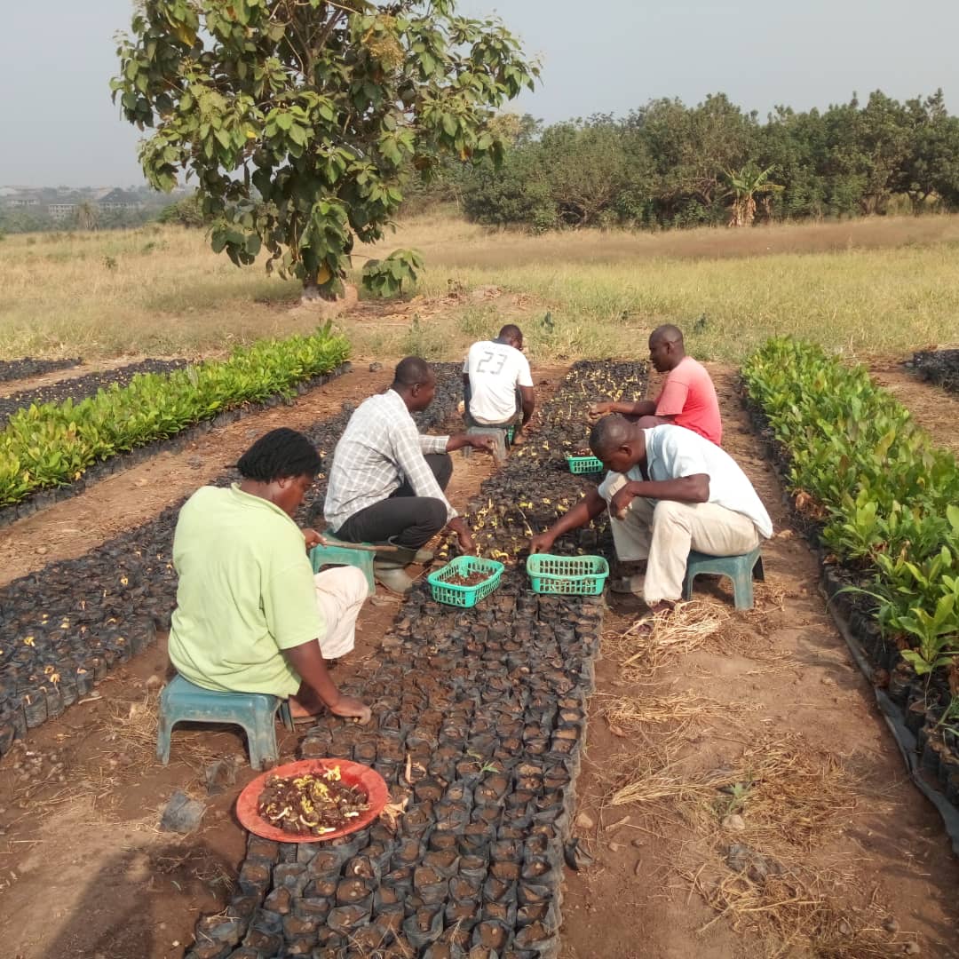 AstraZeneca announces an extension of the Atebubu and Wiase forest landscape restoration project in Ghana